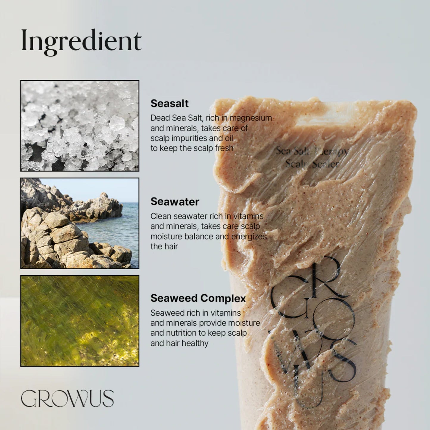 Growus Sea Salt Therapy Scalp Scaler 250G