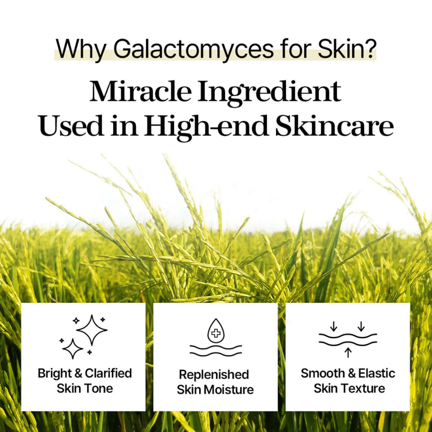 MIXSOON Galactomyces Toner Pad [60ea]
