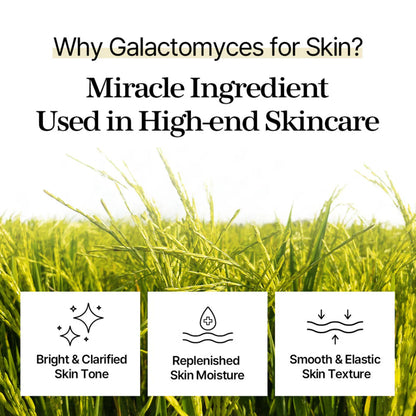 MIXSOON Galactomyces Toner Pad [60ea]