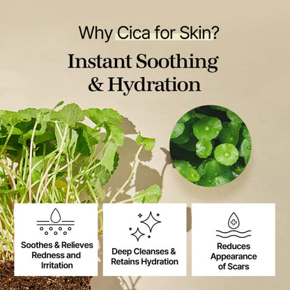 MIXSOON Centella Toner Pad [120ea]