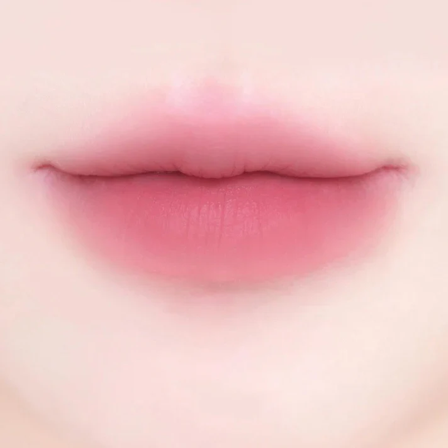 Dearmay 2In1 Plumpy Lip Liner 0.36g