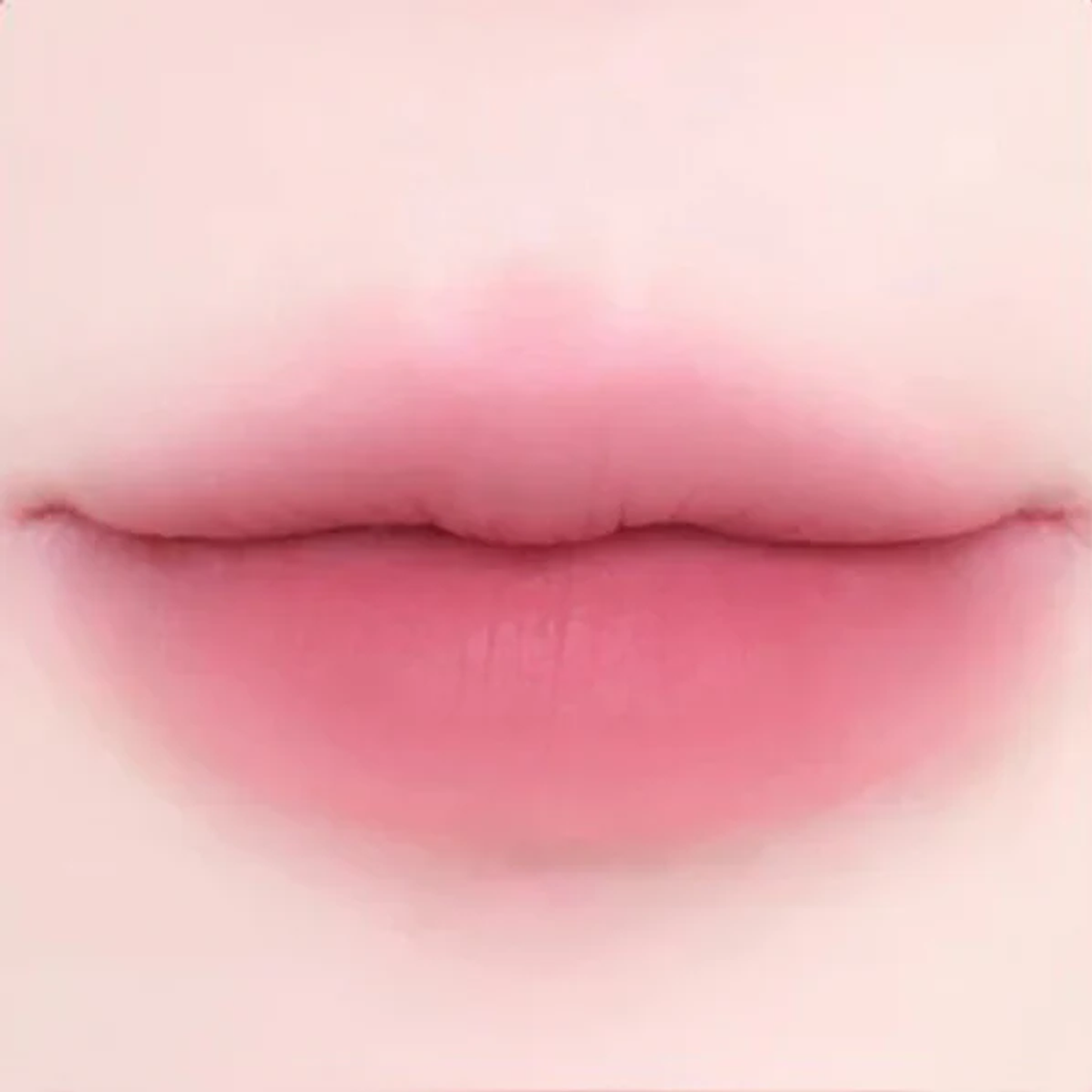 Dearmay 2In1 Plumpy Lip Liner 0.36g