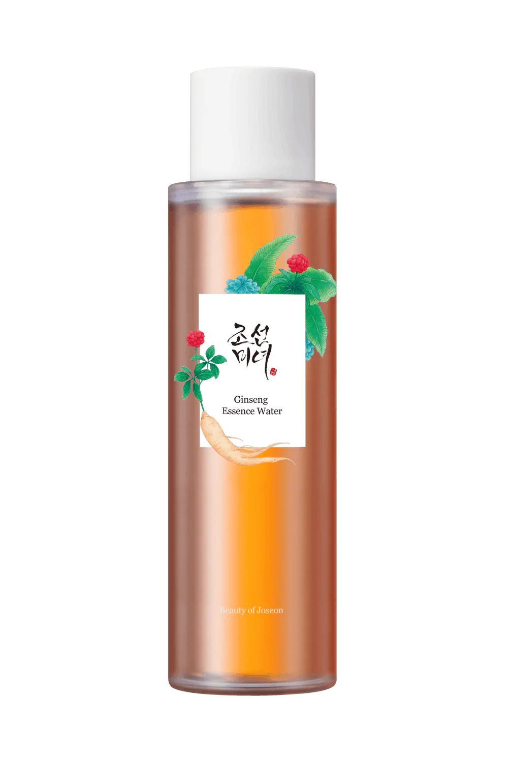 Beauty of Joseon Ginseng Ritual Edition Gift Set