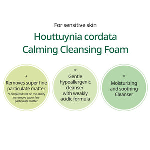 GOODAL Houttuynia Cordata Calming pH Balancing Cleansing Foam